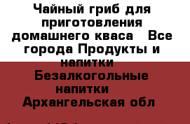Чайный гриб для приготовления домашнего кваса - Все города Продукты и напитки » Безалкогольные напитки   . Архангельская обл.